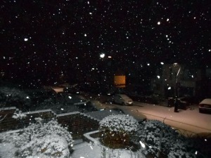 january-snowfall-nighttime